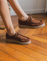 Derbies camel Gara