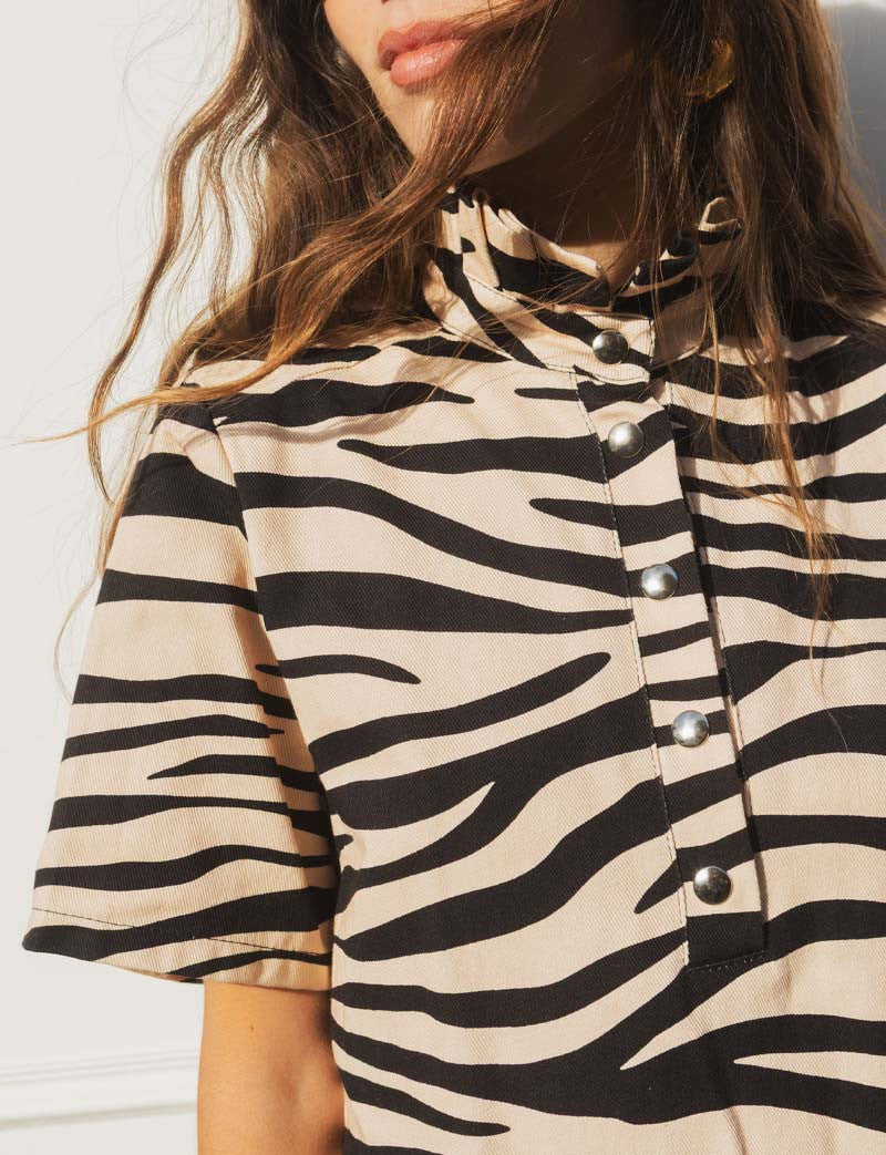 Robe zèbre James