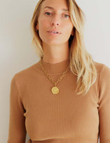 Pull camel Roy